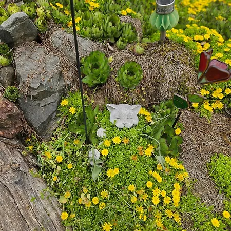 Balkan Barn Σπίτι διακοπών *