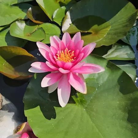 Balkan Barn Σπίτι διακοπών *