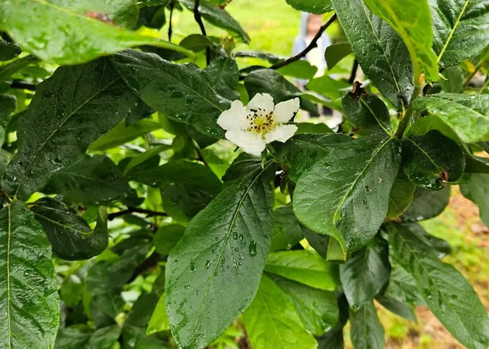 Balkan Barn Дом отдыха *