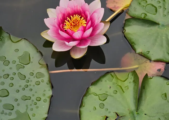 Balkan Barn Дом отдыха Tuzha